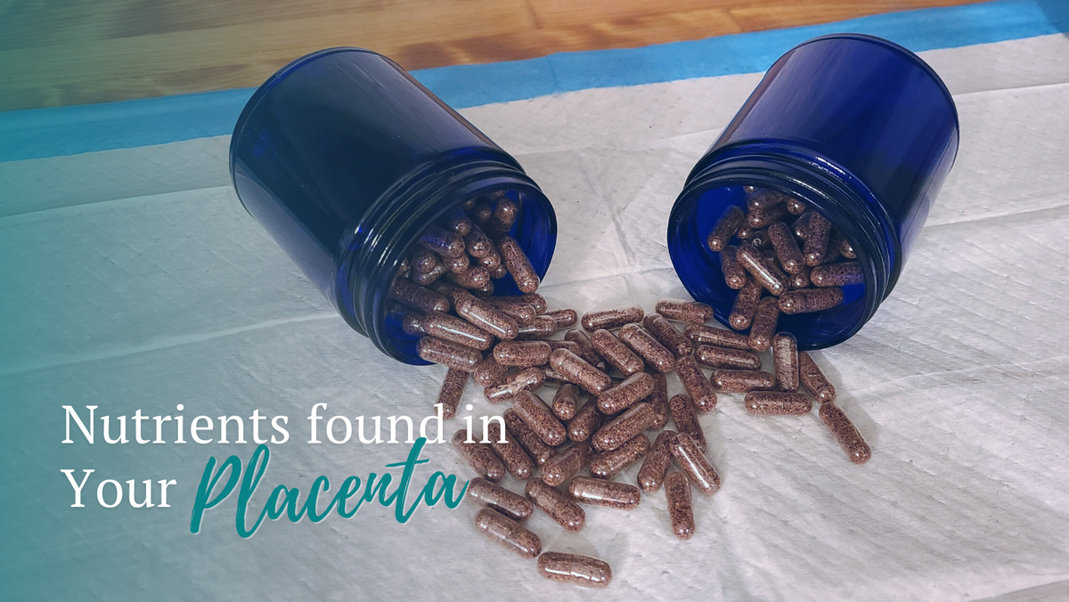 Image of Placenta, "Nutrients found in Your Placenta